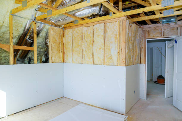 Best Wall Insulation Contractor  in Marissa, IL