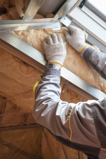 Best Insulation for New Construction  in Marissa, IL
