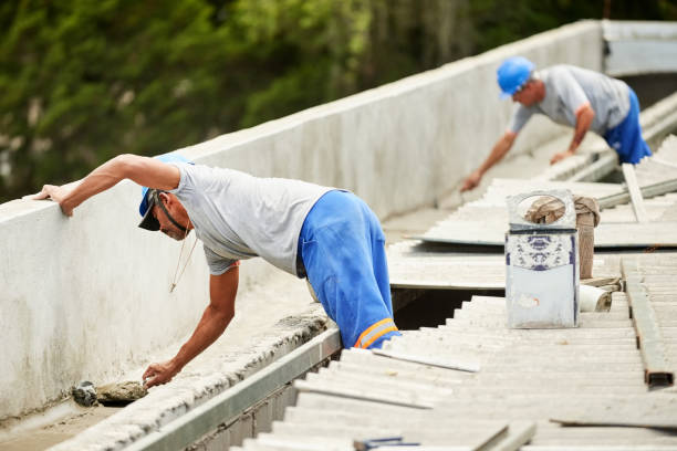 Best Home Insulation Services  in Marissa, IL