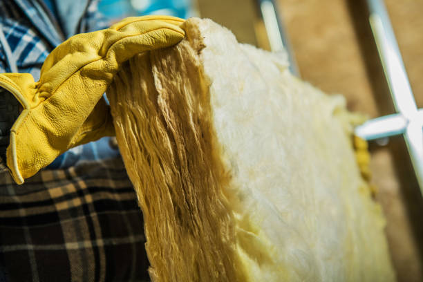 Best Cellulose Insulation  in Marissa, IL