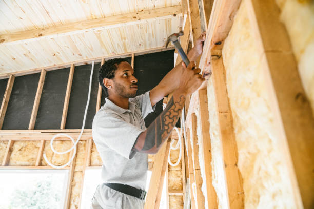 Best Insulation Contractors for Homes  in Marissa, IL