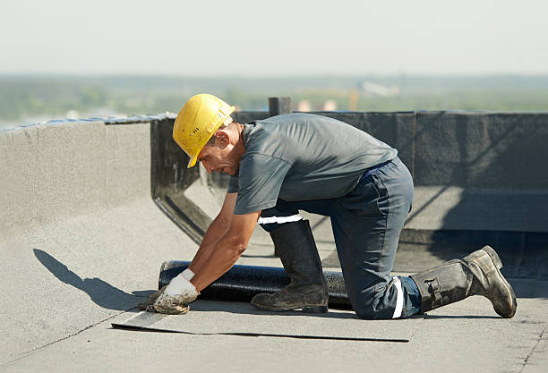 Best Insulation Inspection Services  in Marissa, IL