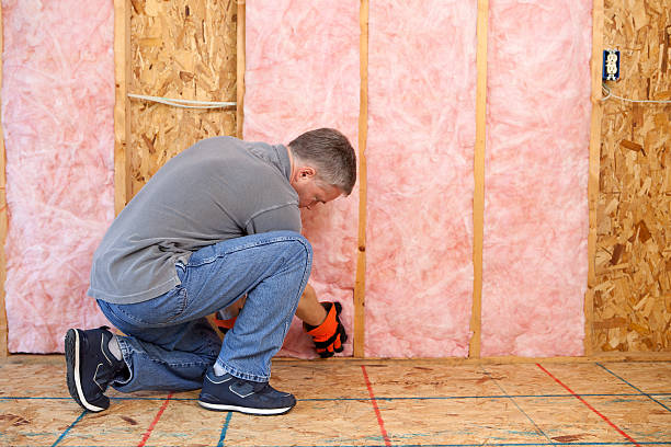 Best Insulation Replacement Services  in Marissa, IL