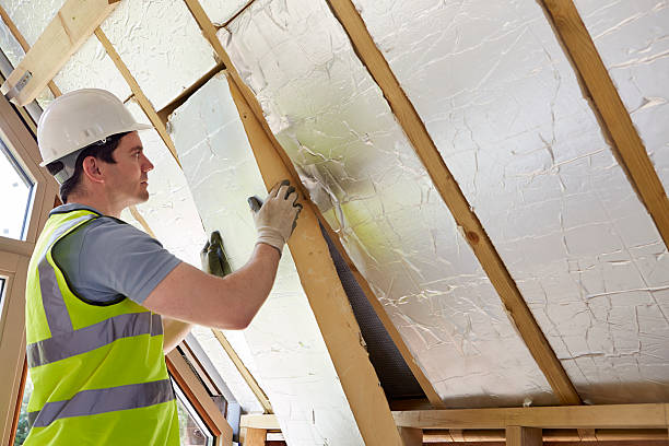 Best Attic Insulation Installation  in Marissa, IL