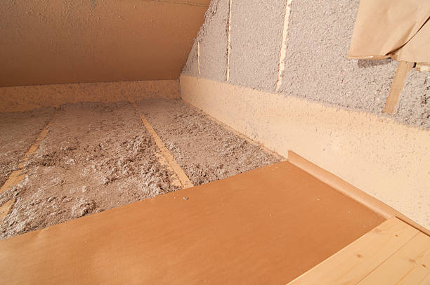 Best Garage Insulation Installation  in Marissa, IL