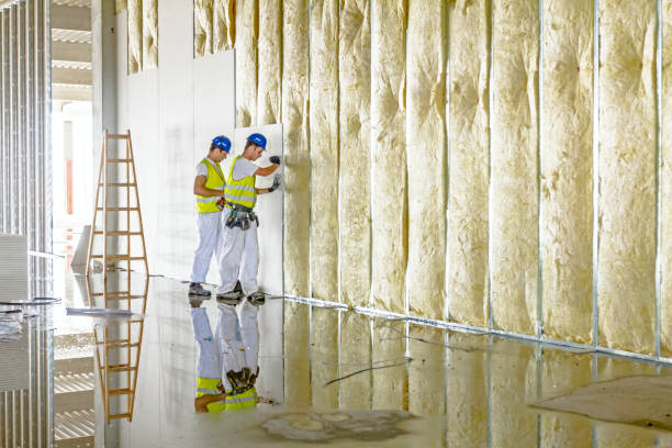 Best Blown-in Insulation  in Marissa, IL